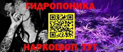 шишки Каменск-Шахтинский