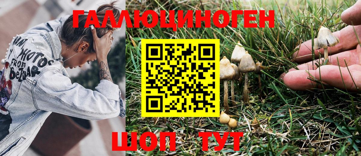 Ишимбай  Псилоцибиновые грибы мухоморы  купить  сайты  Галлюциногенные грибы Cubensis  Вход с VPN 